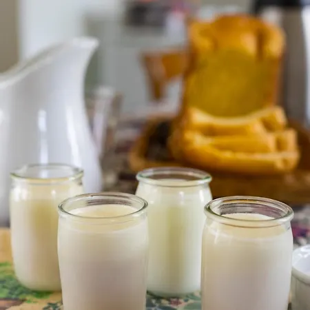 招待所 Dhotes Dessine Moi Un Mouton Soulosse-sous-Saint-Elophe