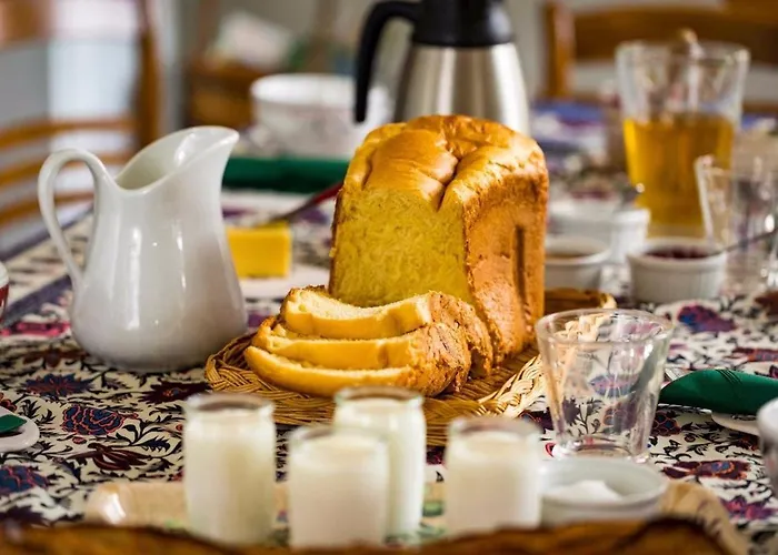 Dhotes Dessine Moi Un Mouton 招待所